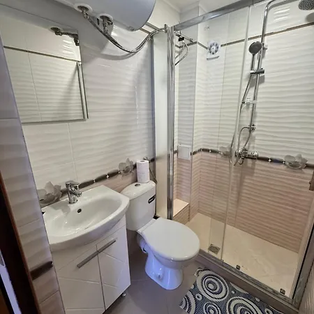 Guest house Amfora 2 In Olt Town